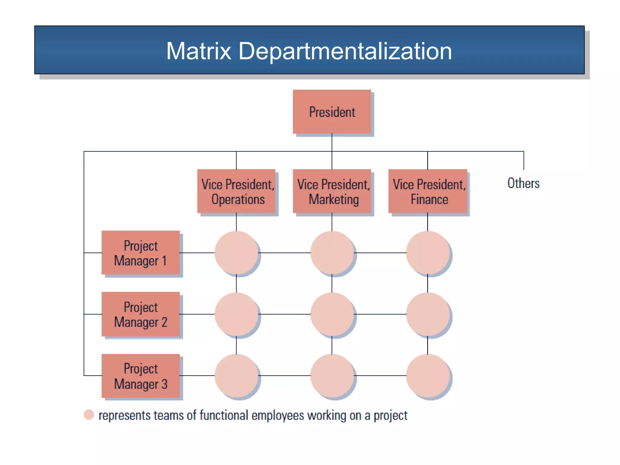Matrix DepartmentalizationMatrix Departmentalization
 