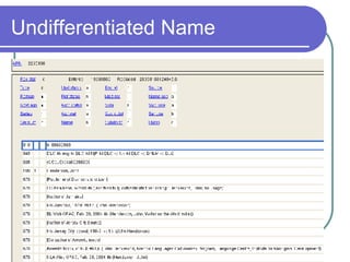 Undifferentiated Name 