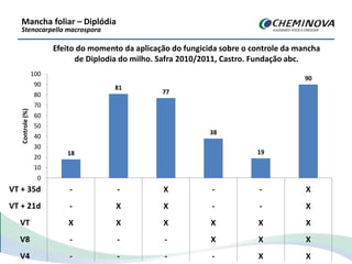18
81
77
38
19
90
0
10
20
30
40
50
60
70
80
90
100
- - X - - X
- X X - - X
X X X X X X
- - - X X X
- - - - X X
Controle(%)
VT + 35d
VT + 21d
VT
V8
V4
Efeito do momento da aplicação do fungicida sobre o controle da mancha
de Diplodia do milho. Safra 2010/2011, Castro. Fundação abc.
Mancha foliar – Diplódia
Stenocarpella macrospora
 