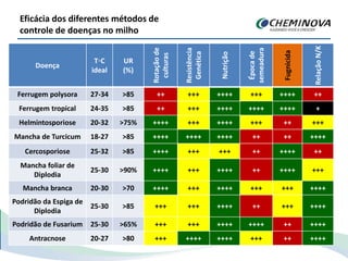 Doença
T◦C
ideal
UR
(%)
Rotaçãode
culturas
Resistência
Genética
Nutrição
Épocade
semeadura
Fugnicida
RelaçãoN/K
Ferrugem polysora 27-34 >85 ++ +++ ++++ +++ ++++ ++
Ferrugem tropical 24-35 >85 ++ +++ ++++ ++++ ++++ +
Helmintosporiose 20-32 >75% ++++ +++ ++++ +++ ++ +++
Mancha de Turcicum 18-27 >85 ++++ ++++ ++++ ++ ++ ++++
Cercosporiose 25-32 >85 ++++ +++ +++ ++ ++++ ++
Mancha foliar de
Diplodia
25-30 >90% ++++ +++ ++++ ++ ++++ +++
Mancha branca 20-30 >70 ++++ +++ ++++ +++ +++ ++++
Podridão da Espiga de
Diplodia
25-30 >85 +++ +++ ++++ ++ +++ ++++
Podridão de Fusarium 25-30 >65% +++ +++ ++++ ++++ ++ ++++
Antracnose 20-27 >80 +++ ++++ ++++ +++ ++ ++++
Eficácia dos diferentes métodos de
controle de doenças no milho
 