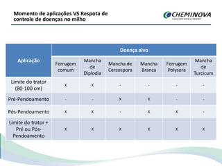 Momento de aplicações VS Respota de
controle de doenças no milho
Aplicação
Doença alvo
Ferrugem
comum
Mancha
de
Diplodia
Mancha de
Cercospora
Mancha
Branca
Ferrugem
Polysora
Mancha
de
Turcicum
Limite do trator
(80-100 cm)
X X - - - -
Pré-Pendoamento - - X X - -
Pós-Pendoamento X X - X X -
Limite do trator +
Pré ou Pós-
Pendoamento
X X X X X X
 