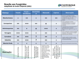 Reação aos Fungicidas
Adapatado de André Chipansk (2001)
Doença Triazóis
Triazóis +
Estrubilurina
Benzimidaz
ol
Mancozeb Cúpricos Observações
Mancha branca o ++ o ++ ++
Diminuem a severidade da mesma.
Doença de dificil controle, necessitando,
na maioria das vezes, 3 ou mais
aplicações, com adição de mais de um
produto.
Cercosporiose ++ +++ ++ o o
Iniciar as aplicações com 2% de
severidade da doença e em condições
ambientais favoráveis e em híbrídos
suscetíveis.
Helmintosporiose ++ + o +++ o
As aplicações para controle desta doença
geralmente ocorrem na fase de
desenvolvimento vegetativo (em geral V8
a V10)
Ferrugens +++ +++ + ++ o
Iniciar as aplicações com baixa severidade
da doença (< 2%) e quando as condições
ambientais forem favoráveis.
Curvularia ++ +++ ? ++ o Em geral, quando se mantém o mesmo
programa de aplicações para Cercospora,
se controla estas doenças
Kabatiela ++ +++ ? ++ o
Mancha Parda o o o o o Não se faz controle químico desta doença.
Observações
Residual15-20dias
Produtosdemaisamplo
espectrodecontrole.
Residuralde15-25dias
Residualde15-20dias.
SEMREGISTROPARA
APLICAÇÃOFOLIAR.
Fungicida com efeito
protetor. Aplicar antes
do aparecimento da
doença ou com
baixíssima severidadde.
Baixo residual (5-7 dias).
Em geral, são
necessárias mais de 1
aplicação para controle
satisfatório. SEM
REGISTRO NO MAPA
PARA A CULTURA DO
MILHO.
Podemcausar
fitoxicidadeemmilho.
Aplicaçõesembateriade
3aplicaçõesmedianteo
usodepivôcentra.
 