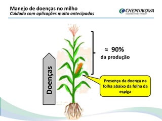 Manejo de doenças no milho
Cuidado com aplicações muito antecipadas
≈ 90%
da produção
Presença da doença na
folha abaixo da folha da
espiga
Doenças
 