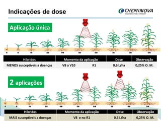 Indicações de dose
Híbridos Momento da aplicação Dose Observação
MENOS susceptíveis a doenças V8 a V10 R1 0,6 L/ha 0,25% O. M.
Aplicação única
Híbridos Momento da aplicação Dose Observação
MAIS susceptíveis a doenças V8 e no R1 0,5 L/ha 0,25% O. M.
2 aplicações
 