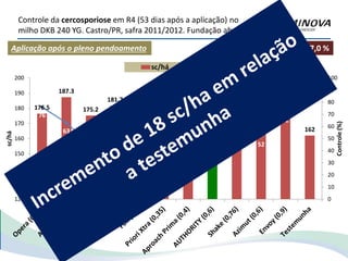 Aplicação após o pleno pendoamento
Controle da cercosporiose em R4 (53 dias após a aplicação) no
milho DKB 240 YG. Castro/PR, safra 2011/2012. Fundação abc
Sev. Test.: 87,0 %
176.5
187.3
175.2
181.7
176.1
179.5 179.4
186
179.9 178.9
188.4
162
76
63
45
57
48
64
49
75 73
52
72
0
10
20
30
40
50
60
70
80
90
100
120
130
140
150
160
170
180
190
200
Controle(%)
sc/há
sc/há Controle
 