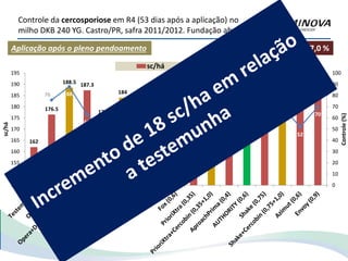 Aplicação após o pleno pendoamento
Controle da cercosporiose em R4 (53 dias após a aplicação) no
milho DKB 240 YG. Castro/PR, safra 2011/2012. Fundação abc
Sev. Test.: 87,0 %
162
176.5
188.5 187.3
175.2
184
181.7
166.4
176.1
179.6
187.8
171.4
186
179.9 180.8
178.9
188.4
76 88
63
45
66
57
45
48
64
80
49
75 73
70
52
70
0
10
20
30
40
50
60
70
80
90
100
145
150
155
160
165
170
175
180
185
190
195
Controle(%)
sc/há
sc/há Controle (%)
 