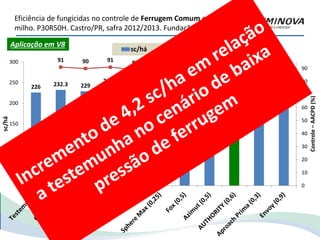Eficiência de fungicidas no controle de Ferrugem Comum em
milho. P30R50H. Castro/PR, safra 2012/2013. Fundação abc
226 232.3 229
240.9
230.5 235.6
226.6 230 230.2
239.5 246.4
91 90 91 89 89 91 90 91 91
88
0
10
20
30
40
50
60
70
80
90
0
50
100
150
200
250
300
Controle–AACPD(%)
sc/há
sc/há Controle (%)
Aplicação em V8
 
