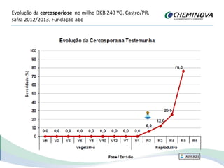 Evolução da cercosporiose no milho DKB 240 YG. Castro/PR,
safra 2012/2013. Fundação abc
 