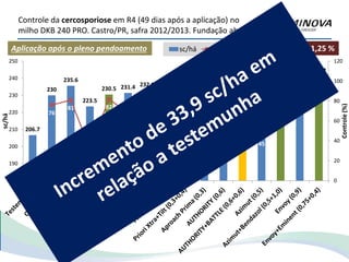 Controle da cercosporiose em R4 (49 dias após a aplicação) no
milho DKB 240 PRO. Castro/PR, safra 2012/2013. Fundação abc
206.7
230
235.6
223.5
230.5 231.4 232.9
229.2
239.7
223.9
228.3
239.9
222.3
238.7
224.3
241.2
76
81
32
82
68 70 69
82
70 70
96
45
92
90
96
0
20
40
60
80
100
120
180
190
200
210
220
230
240
250
Controle(%)
sc/há
sc/há Controle (%) Sev. Test.: 91,25 %Aplicação após o pleno pendoamento
 