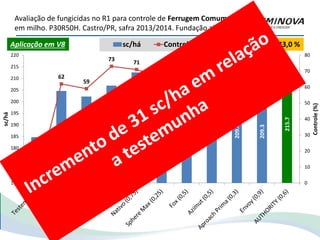 Avaliação de fungicidas no R1 para controle de Ferrugem Comum
em milho. P30R50H. Castro/PR, safra 2013/2014. Fundação abc
184.7
204.6
202.2
206.9
212.6
208.2
202.4
208.7
209.4
209.3
215.7
0
62
59
73
71
66
70
73
57
60
69
0
10
20
30
40
50
60
70
80
165
170
175
180
185
190
195
200
205
210
215
220
Controle(%)
sc/há
sc/há Controle (%)Aplicação em V8 Sev. Test.: 43,0 %
 