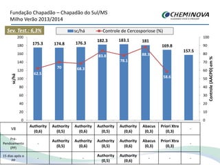 Fundação Chapadão – Chapadão do Sul/MS
Milho Verão 2013/2014
V8
Authority
(0,6)
Authority
(0,5)
Authority
(0,6)
Authority
(0,5)
Authority
(0,6)
Abacus
(0,3)
Priori Xtra
(0,3)
-
Pré-
Pendoamento
(PP)
-
Authority
(0,5)
Authority
(0,6)
Authority
(0,5)
Authority
(0,6)
Abacus
(0,3)
Priori Xtra
(0,3)
-
15 dias após o
PP
- - -
Authority
(0,5)
Authority
(0,6)
- - -
175.3 174.8 176.3
182.3 183.1 181
169.8
157.5
62.5
70 68.3
83.8
78.1
88.3
58.6
0
10
20
30
40
50
60
70
80
90
100
0
20
40
60
80
100
120
140
160
180
200
1 2 3 4 5 6 7 8
Controle(AACPD)em%
sc/há
sc/há Controle de Cercosporiose (%)Sev. Test.: 6,3%
 