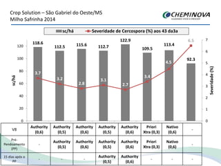 Crop Solution – São Gabriel do Oeste/MS
Milho Safrinha 2014
118.6
112.5 115.6 112.7
122.9
109.5
113.4
92.3
3.7
3.2
2.8
3.1
2.7
3.4
4.5
6.5
0
1
2
3
4
5
6
7
0
20
40
60
80
100
120
1 2 3 4 5 6 7 8
Severidade(%)
sc/há
sc/há Severidade de Cercospora (%) aos 43 da3a
V8
Authority
(0,6)
Authority
(0,5)
Authority
(0,6)
Authority
(0,5)
Authority
(0,6)
Priori
Xtra (0,3)
Nativo
(0,6)
-
Pré-
Pendoamento
(PP)
-
Authority
(0,5)
Authority
(0,6)
Authority
(0,5)
Authority
(0,6)
Priori
Xtra (0,3)
Nativo
(0,6)
-
15 dias após o
PP
- - -
Authority
(0,5)
Authority
(0,6)
- - -
 