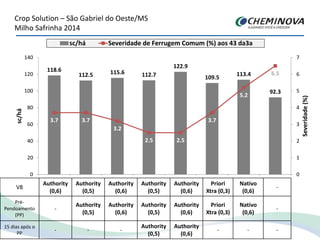 Crop Solution – São Gabriel do Oeste/MS
Milho Safrinha 2014
V8
Authority
(0,6)
Authority
(0,5)
Authority
(0,6)
Authority
(0,5)
Authority
(0,6)
Priori
Xtra (0,3)
Nativo
(0,6)
-
Pré-
Pendoamento
(PP)
-
Authority
(0,5)
Authority
(0,6)
Authority
(0,5)
Authority
(0,6)
Priori
Xtra (0,3)
Nativo
(0,6)
-
15 dias após o
PP
- - -
Authority
(0,5)
Authority
(0,6)
- - -
118.6
112.5 115.6 112.7
122.9
109.5
113.4
92.3
3.7 3.7
3.2
2.5 2.5
3.7
5.2
6.5
0
1
2
3
4
5
6
7
0
20
40
60
80
100
120
140
1 2 3 4 5 6 7 8
Severidade(%)
sc/há
sc/há Severidade de Ferrugem Comum (%) aos 43 da3a
 