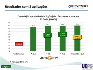 Resultados com 2 aplicações
5.382,8
7.743,0
+ 2.360,2
7.760,0
+2.377,2
7.545,6
+2.162,8
* Nimbus 0,5% v/v
Kg/ha
 