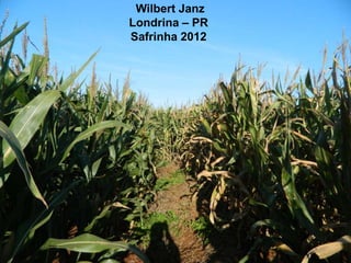 Material para uso interno Cheminova Brasil
Wilbert Janz
Londrina – PR
Safrinha 2012
 