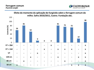 Efeito do momento da aplicação do fungicida sobre a ferrugem comum do
milho. Safra 2010/2011, Castro. Fundação abc.
Ferrugem comum
Puccinia sorghi
59
81
52
9
0 0
81
75 72
19
98
0
20
40
60
80
100
120
- - - - - x - - - - x
- - - - x - x x x - x
- - - x - - - - - - x
- - x - - - x - - x x
- x - - - - - x - - x
x - - - - - - - x x x
Controle(%)
VT + 28d
VT + 14d
VT
120 cm
80 cm
50 cm
 