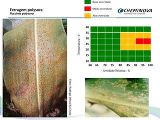 Ferrugem polysora
Puccinia polysora
Foto:RodrigoVérasdaCosta
Temperatura-C◦
35
30
25
20
15
10
60 65 70 75 80 85 90 95 100
Umidade Relativa - %
Baixa severidade
Média severidade
Alta severidade
40
35
30
25
20
15
10
60 65 70 75 80 85 90 95 100
 