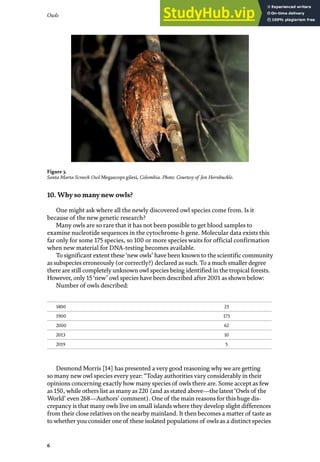Owls
6
Figure 3.
Santa Marta Screech Owl Megascops gilesi, Colombia. Photo: Courtesy of Jon Hornbuckle.
10. Why so many new owls?
One might ask where all the newly discovered owl species come from. Is it
because of the new genetic research?
Many owls are so rare that it has not been possible to get blood samples to
examine nucleotide sequences in the cytochrome-b gene. Molecular data exists this
far only for some 175 species, so 100 or more species waits for official confirmation
when new material for DNA-testing becomes available.
To significant extent these‘new owls’ have been known to the scientific community
as subspecies erroneously (or correctly?) declared as such. To a much smaller degree
there are still completely unknown owl species being identified in the tropical forests.
However, only 15 ‘new’ owl species have been described after 2001 as shown below:
Number of owls described:
Desmond Morris [14] has presented a very good reasoning why we are getting
so many new owl species every year: “Today authorities vary considerably in their
opinions concerning exactly how many species of owls there are. Some accept as few
as 150, while others list as many as 220 (and as stated above—the latest‘Owls of the
World’ even 268—Authors’ comment). One of the main reasons for this huge dis-
crepancy is that many owls live on small islands where they develop slight differences
from their close relatives on the nearby mainland. It then becomes a matter of taste as
to whether you consider one of these isolated populations of owls as a distinct species
1800 23
1900 173
2000 62
2013 10
2019 5
 
