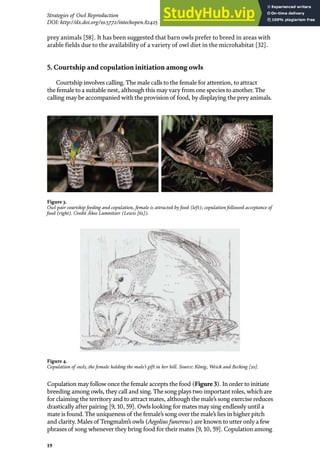 19
Strategies of Owl Reproduction
DOI: http://dx.doi.org/10.5772/intechopen.82425
prey animals [58]. It has been suggested that barn owls prefer to breed in areas with
arable fields due to the availability of a variety of owl diet in the microhabitat [32].
5. Courtship and copulation initiation among owls
Courtship involves calling. The male calls to the female for attention, to attract
the female to a suitable nest, although this may vary from one species to another. The
calling may be accompanied with the provision of food, by displaying the prey animals.
Copulation may follow once the female accepts the food (Figure3). In order to initiate
breeding among owls, they call and sing. The song plays two important roles, which are
for claiming the territory and to attract mates, although the male’s song exercise reduces
drastically after pairing [9, 10, 59]. Owls looking for mates may sing endlessly until a
mate is found. The uniqueness of the female’s song over the male’s lies in higher pitch
and clarity. Males of Tengmalm’s owls (Aegolius funereus) are known to utter only a few
phrases of song whenever they bring food for their mates [9, 10, 59]. Copulation among
Figure 3.
Owl pair courtship feeding and copulation, female is attracted by food (left); copulation followed acceptance of
food (right). Credit Ákos Lumnitzer (Lewis [61]).
Figure 4.
Copulation of owls, the female holding the male’s gift in her bill. Source: König, Weick and Becking [10].
 
