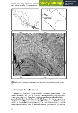 2.2 Predatory species used as a model
Nine nocturnal species of raptors have been recorded in the La Selva El Ocote
Biosphere Reserve [30]. Three of them (black-and-white owl, Ciccaba nigrolineata;
ferruginous pygmy owl, Glaucidium brasilianum; and spectacled owl, Pulsatrix
perspicillata) include birds in their diet [31–33]. Twenty-five diurnal raptors have
also been recorded [30], of which the collared forest falcon and the barred forest
falcon (M. ruficollis) feed mainly on birds [33, 34]. The predators used as a model in
this study were selected based on their dietary habits (mainly birds) and hunting
Figure 1.
Geographic location of four transects and sampled points in La Selva El Ocote Biosphere Reserve, Chiapas,
Mexico.
31
Bird Behaviour during Prey-Predator Interaction in a Tropical Forest in México
DOI: http://dx.doi.org/10.5772/intechopen.82882
 