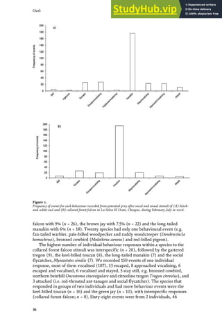 falcon with 9% (n = 26), the brown jay with 7.5% (n = 22) and the long-tailed
manakin with 6% (n = 18). Twenty species had only one behavioural event (e.g.
fan-tailed warbler, pale-billed woodpecker and ruddy woodcreeper (Dendrocincla
homochroa), bronzed cowbird (Molothrus aeneus) and red-billed pigeon).
The highest number of individual behaviour responses within a species to the
collared forest falcon stimuli was interspecific (n = 20), followed by the gartered
trogon (9), the keel-billed toucan (8), the long-tailed manakin (7) and the social
flycatcher, Myiozetetes similis (7). We recorded 150 events of one individual
response, most of them vocalised (107), 13 escaped, 8 approached vocalising, 6
escaped and vocalised, 6 vocalised and stayed, 5 stay still, e.g. bronzed cowbird,
northern bentbill Oncostoma cinereigulare and citreoline trogon Trogon citreolus), and
3 attacked (i.e. red-throated ant-tanager and social flycatcher). The species that
responded in groups of two individuals and had more behaviour events were the
keel-billed toucan (n = 16) and the green jay (n = 10), with interspecific responses
(collared forest-falcon; n = 8). Sixty-eight events were from 2 individuals, 46
Figure 2.
Frequency of events for each behaviour recorded from potential prey after vocal and visual stimuli of (A) black-
and-white owl and (B) collared forest falcon in La Selva El Ocote, Chiapas, during February-July in 2016.
36
Owls
 