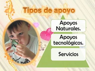 Apoyos
 Naturales.
   Apoyos
tecnológicos.
  Servicios
 