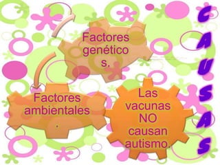 C
         Factores
         genético          A
            s.
                           U
 Factores         Las
                vacunas
                           S
                           a
ambientales
     .            NO
                causan
                autismo.   s
 