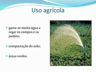 Uso agrícola

 gasta-se muita água a
 regar os campos e os
 jardins;

 compactação do solo;


 áreas verdes.
 