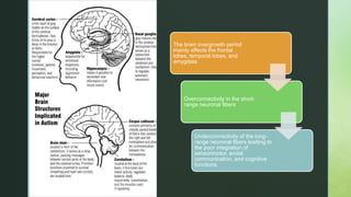 z
The brain overgrowth period
mainly affects the frontal
lobes, temporal lobes, and
amygdala
Overconnectivity in the short-
range neuronal fibers
Underconnectivity of the long-
range neuronal fibers leading to
the poor integration of
sensorimotor, social
communication, and cognitive
functions.
 