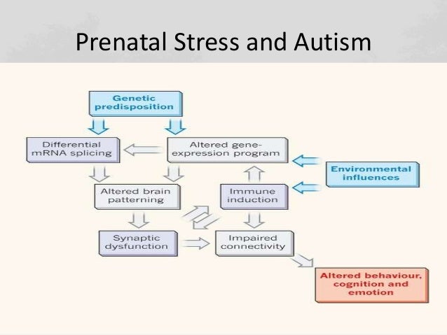Prenatal Influences In Autism >> Autism Prevalence Following Prenatal Exposure To Hurricanes Prenatal Influences In Autism >> Autism Prevalence Following Prenatal Exposure To Hurricanes
