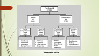 Autism and dev disorders