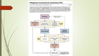 Autism and dev disorders