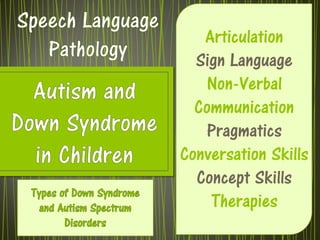Articulation
  Sign Language
   Non-Verbal
  Communication
   Pragmatics
Conversation Skills
  Concept Skills
    Therapies
 
