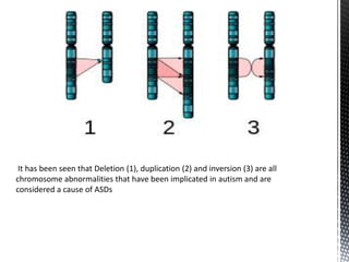 Autism and it’s genetic implications | PPTX