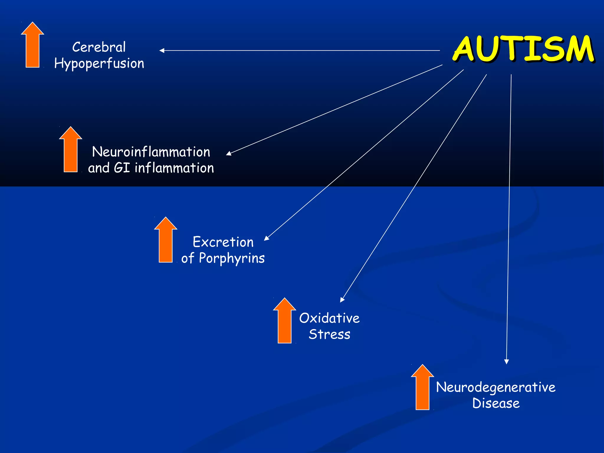 Cerebral
Hypoperfusion
Oxidative
Stress
Neurodegenerative
Disease
AUTISMAUTISM
Neuroinflammation
and GI inflammation
Excretion
of Porphyrins
 