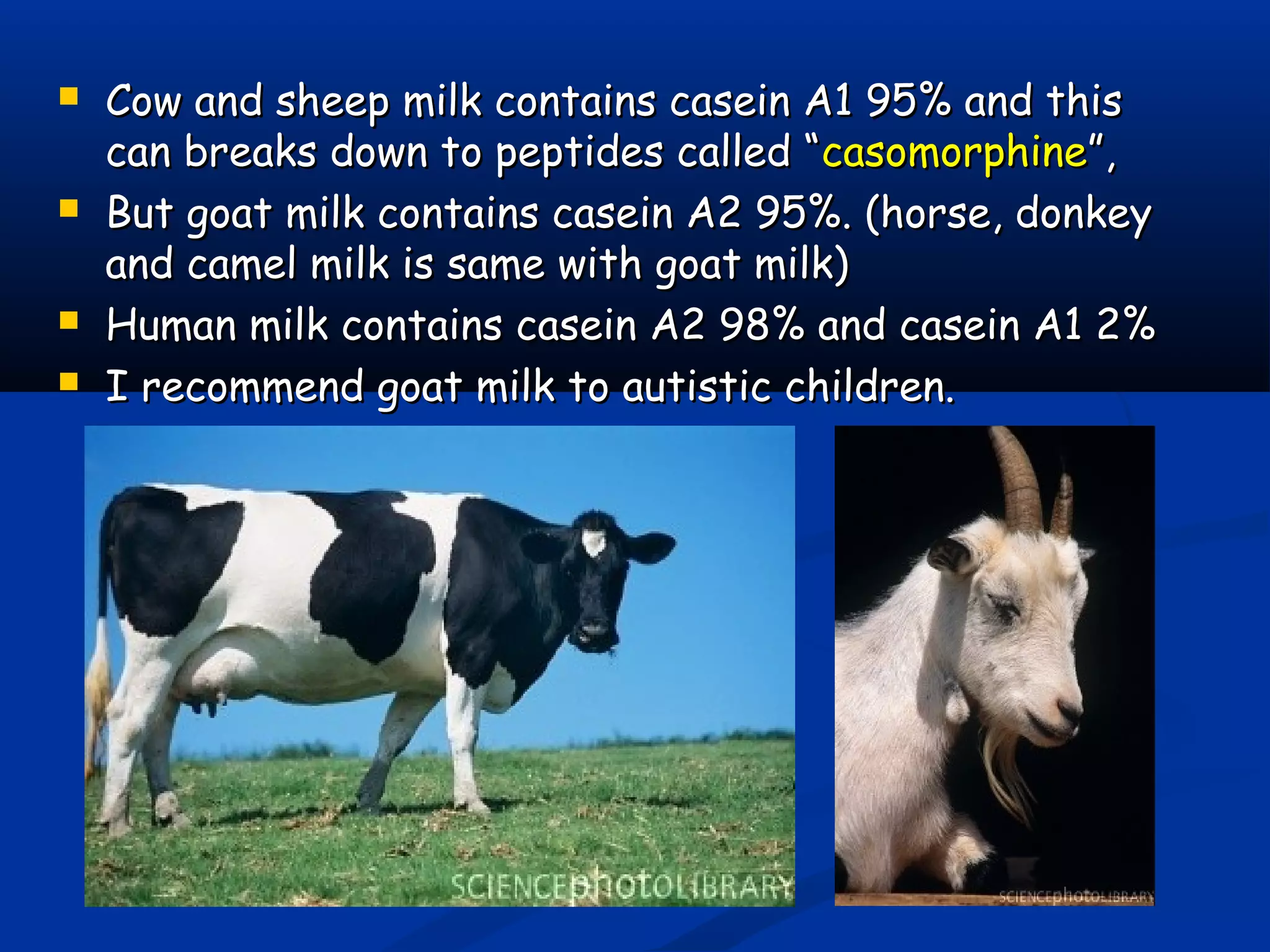  Cow and sheep milk contains casein A1 95% and thisCow and sheep milk contains casein A1 95% and this
can breaks down to peptides called “can breaks down to peptides called “casomorphinecasomorphine”,”,
 But goat milk contains casein A2 95%. (horse, donkeyBut goat milk contains casein A2 95%. (horse, donkey
and camel milk is same with goat milk)and camel milk is same with goat milk)
 Human milk contains casein A2 98% and casein A1 2%Human milk contains casein A2 98% and casein A1 2%
 I recommend goat milk to autistic children.I recommend goat milk to autistic children.
 
