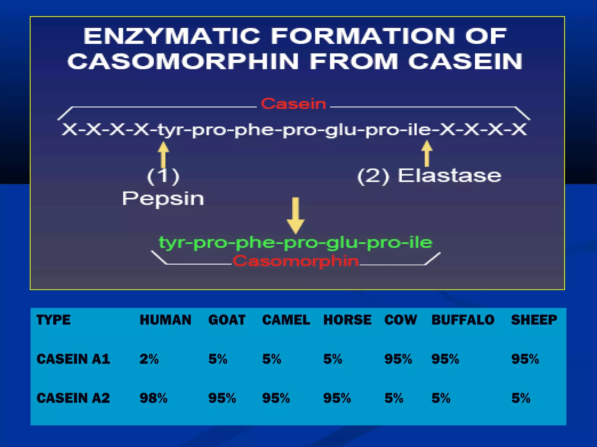 TYPE HUMAN GOAT CAMEL HORSE COW BUFFALO SHEEP
CASEIN A1 2% 5% 5% 5% 95% 95% 95%
CASEIN A2 98% 95% 95% 95% 5% 5% 5%
 