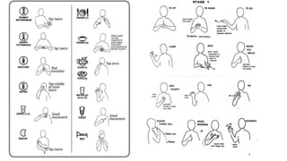 Makaton Course Autism: Makaton, Visuals and Timetabling | PPTX