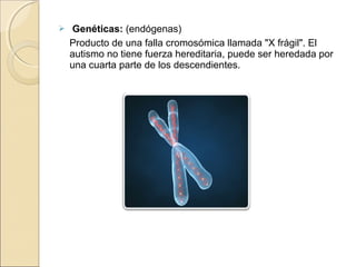  Genéticas: (endógenas)
Producto de una falla cromosómica llamada "X frágil". El
autismo no tiene fuerza hereditaria, puede ser heredada por
una cuarta parte de los descendientes.
 