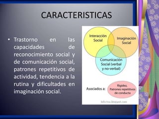 CARACTERISTICAS
• Trastorno
en
las
capacidades
de
reconocimiento social y
de comunicación social,
patrones repetitivos de
actividad, tendencia a la
rutina y dificultades en
imaginación social.

 