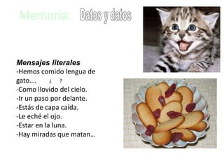 Memoria: 
Problemas para determinar 
“Relevancia” 
Mensajes literales 
-Hemos comido lengua de 
gato…. 
¿ ? 
-Como llovido del cielo. 
-Ir un paso por delante. 
-Estás de capa caída. 
-Le eché el ojo. 
-Estar en la luna. 
-Hay miradas que matan… 
 