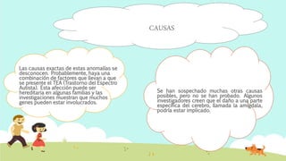 CAUSAS
Se han sospechado muchas otras causas
posibles, pero no se han probado. Algunos
investigadores creen que el daño a una parte
específica del cerebro, llamada la amígdala,
podría estar implicado.
Las causas exactas de estas anomalías se
desconocen. Probablemente, haya una
combinación de factores que llevan a que
se presente el TEA (Trastorno del Espectro
Autista). Esta afección puede ser
hereditaria en algunas familias y las
investigaciones muestran que muchos
genes pueden estar involucrados.
 