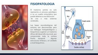FISIOPATOLOGIA
El trastorno autista no solo
representa un proceso patológico
si no un cuadro sintomático que
puede deberse a una disfunción
de una o mas sistemas
cerebrales.
Las bases neurobiológicas del
autismo son desconocidas pero
sus hallazgos histopatológicos y
bioquímicos sugieren un trastorno
difuso del desarrollo neuronal, que
compromete toda la corteza
fronto temporal algunas
estructuras límbicas y el cerebelo
a nivel bioquímico.
 
