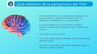 Fundamentos sobre el autismo y su características | PPTX