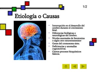 Etiología  o Causas Interrupción en el desarrollo del cerebro durante el crecimiento fetal. Diferencias biológicas o  neurológicas del cerebro. Niveles anormales de Serotonina o algún otro neurotransmisor  Genes del cromosoma siete. Deficiencias y anomalías cognoscitivas.  Ciertos procesos bioquímicos básicos. 1/2 