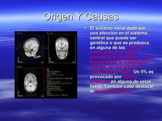 Origen Y Causas
         El autismo viene dado por
          una afección en el sistema
          central que puede ser
          genética o que se produzca
          en alguna de las fases del
          desarrollo( en el útero
          durante la fecundación , en el
          momento de la maduración
          del feto, en los primeros
          momentos de vida). Un 5% es
          provocado por alguna
          infección en alguna de estas
          fases. También cabe destacar
          la herencia familiar.
 