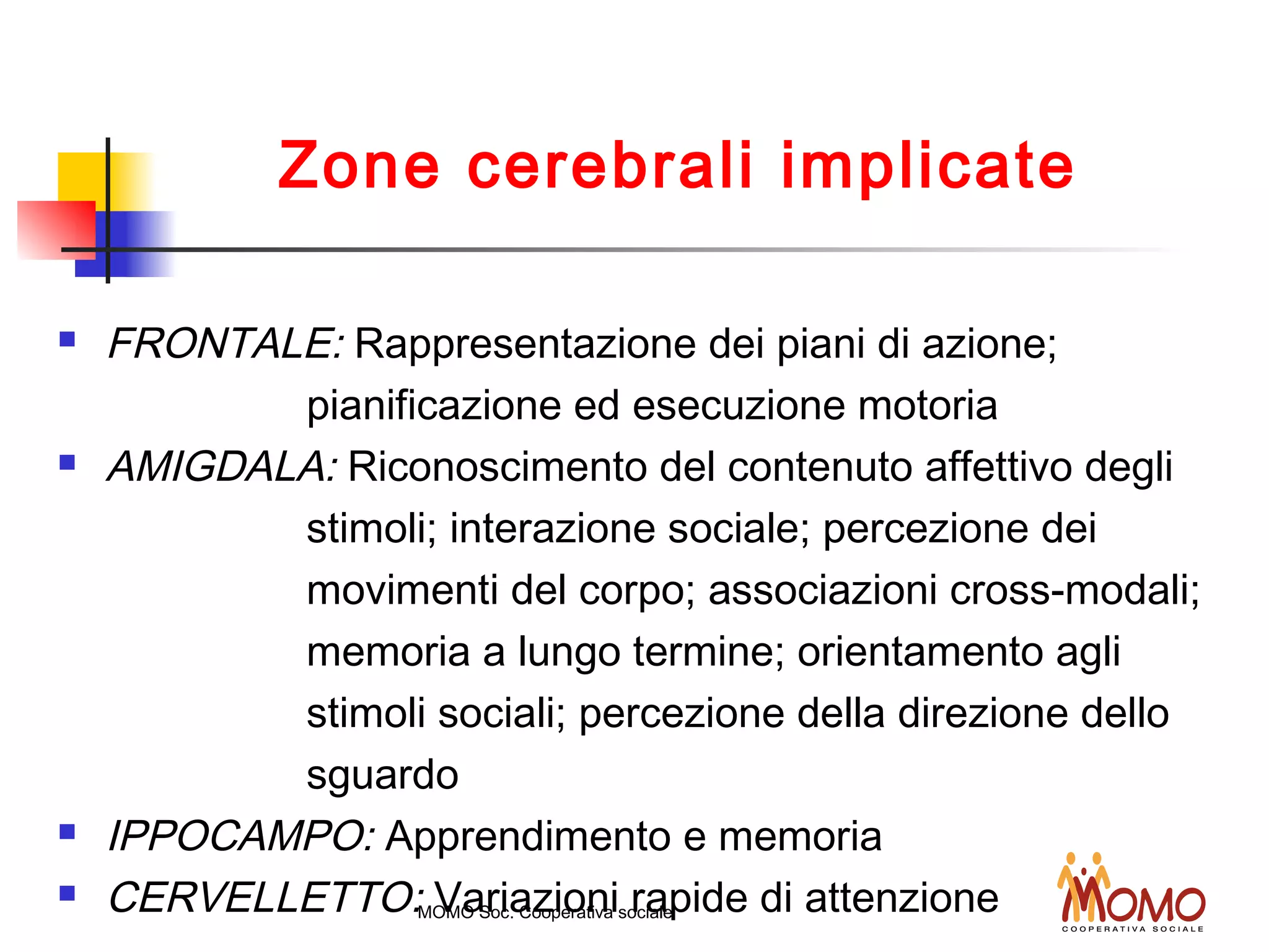  FRONTALE: Rappresentazione dei piani di azione;
pianificazione ed esecuzione motoria
 AMIGDALA: Riconoscimento del contenuto affettivo degli
stimoli; interazione sociale; percezione dei
movimenti del corpo; associazioni cross-modali;
memoria a lungo termine; orientamento agli
stimoli sociali; percezione della direzione dello
sguardo
 IPPOCAMPO: Apprendimento e memoria
 CERVELLETTO: Variazioni rapide di attenzioneMOMO Soc. Cooperativa sociale
Zone cerebrali implicate
 