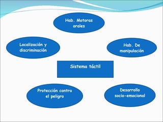 Sistema táctil Hab. Motoras orales Hab. De manipulación Protección contra el peligro Desarrollo socio-emocional Localización y discriminación 