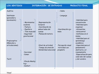 LOS SENTIDOS  INTEGRACIÓN  DE ENTRADAS  PRODUCTO FINAL Auditivo  Vestibular (gravedad y movimiento) Propioceptivo (Músculos y articulaciones) Tactil Visual - Movimientos oculares - Postura - Equilibrio - Tono muscular  Seguridad gravitacional Succionar Comer Vínculo Madre-hijo Confort Representación Corporal Coordinación de ambos lados del cuerpo Planeación motora Nivel de actividad Tiempo de atención Estabilidad emocional - Habla - Lenguaje Coordinación ojo-mano Percepción visual Actividad con propósito Habilidad para concentrarse Habilidad para organizar Autoestima Autocontrol Confianza en sí mismo Habilidad para el aprendizaje académico Capacidad para el pensamiento abstracto y el razonamiento Especialización para cada lado del cuerpo y del cerebro 