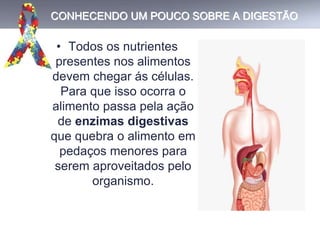CONHECENDO UM POUCO SOBRE A DIGESTÃO
• Todos os nutrientes
presentes nos alimentos
devem chegar ás células.
Para que isso ocorra o
alimento passa pela ação
de enzimas digestivas
que quebra o alimento em
pedaços menores para
serem aproveitados pelo
organismo.
 